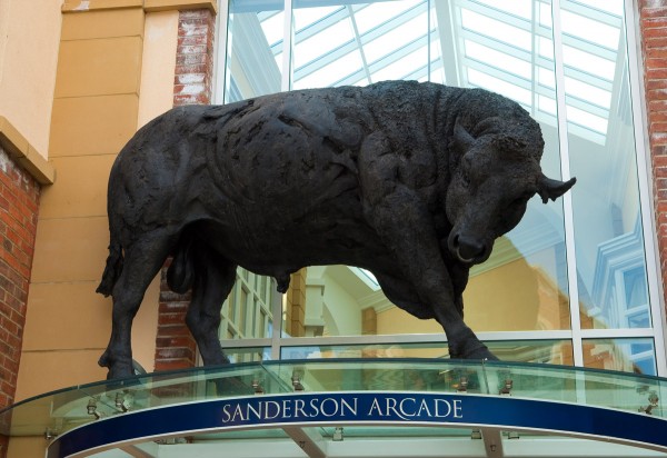 The Black Prince Bull Sculpture, by Judy Boyt 